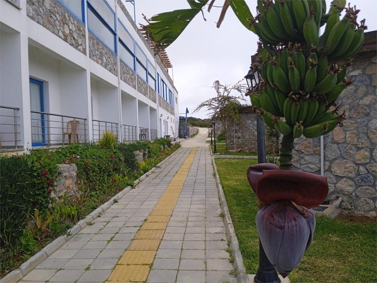 Ardic Agaci Holiday Village Famagouste Extérieur photo