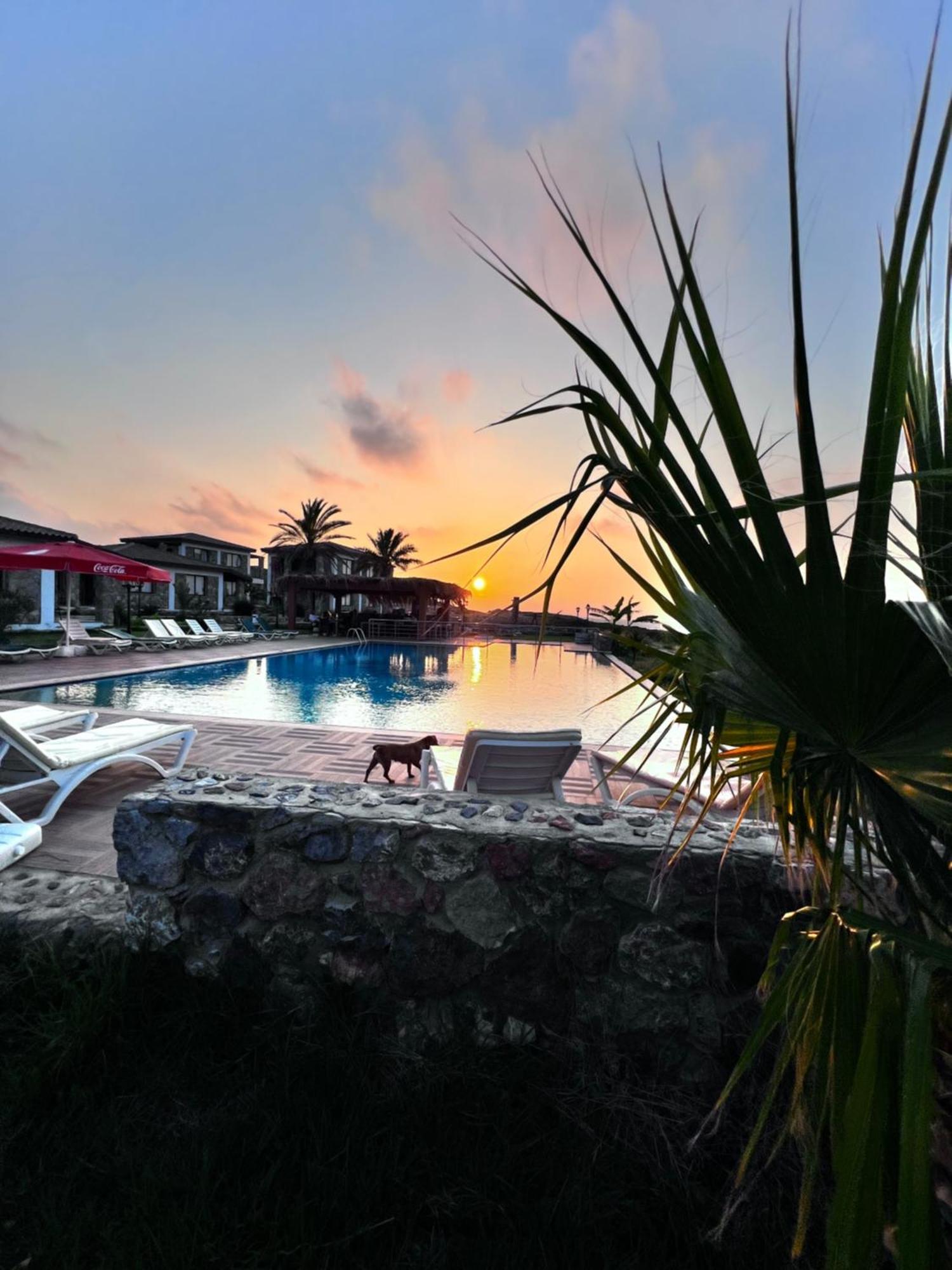 Ardic Agaci Holiday Village Famagouste Extérieur photo